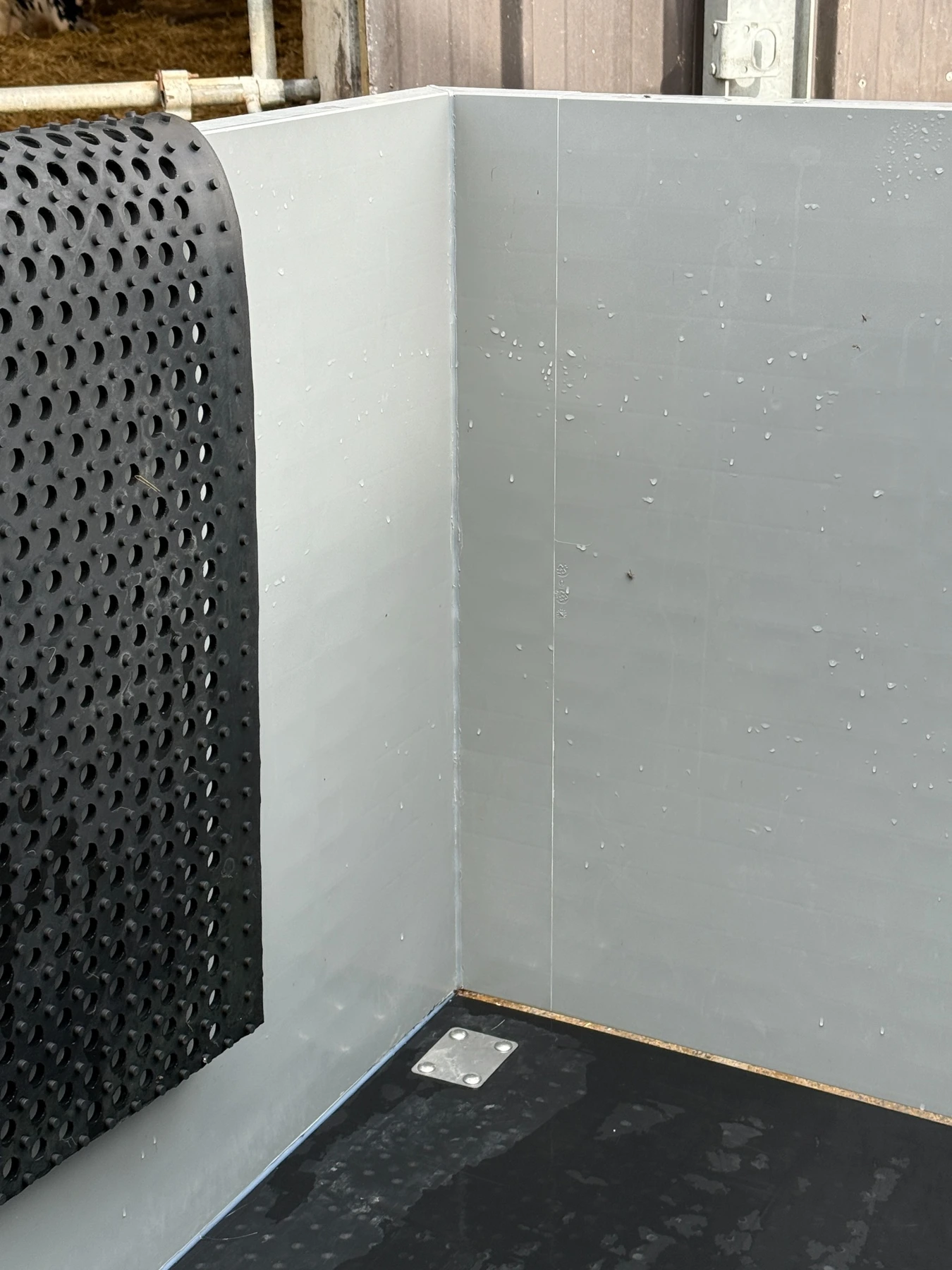 Detail of smooth, welded PP walls inside a cleaned calf pen