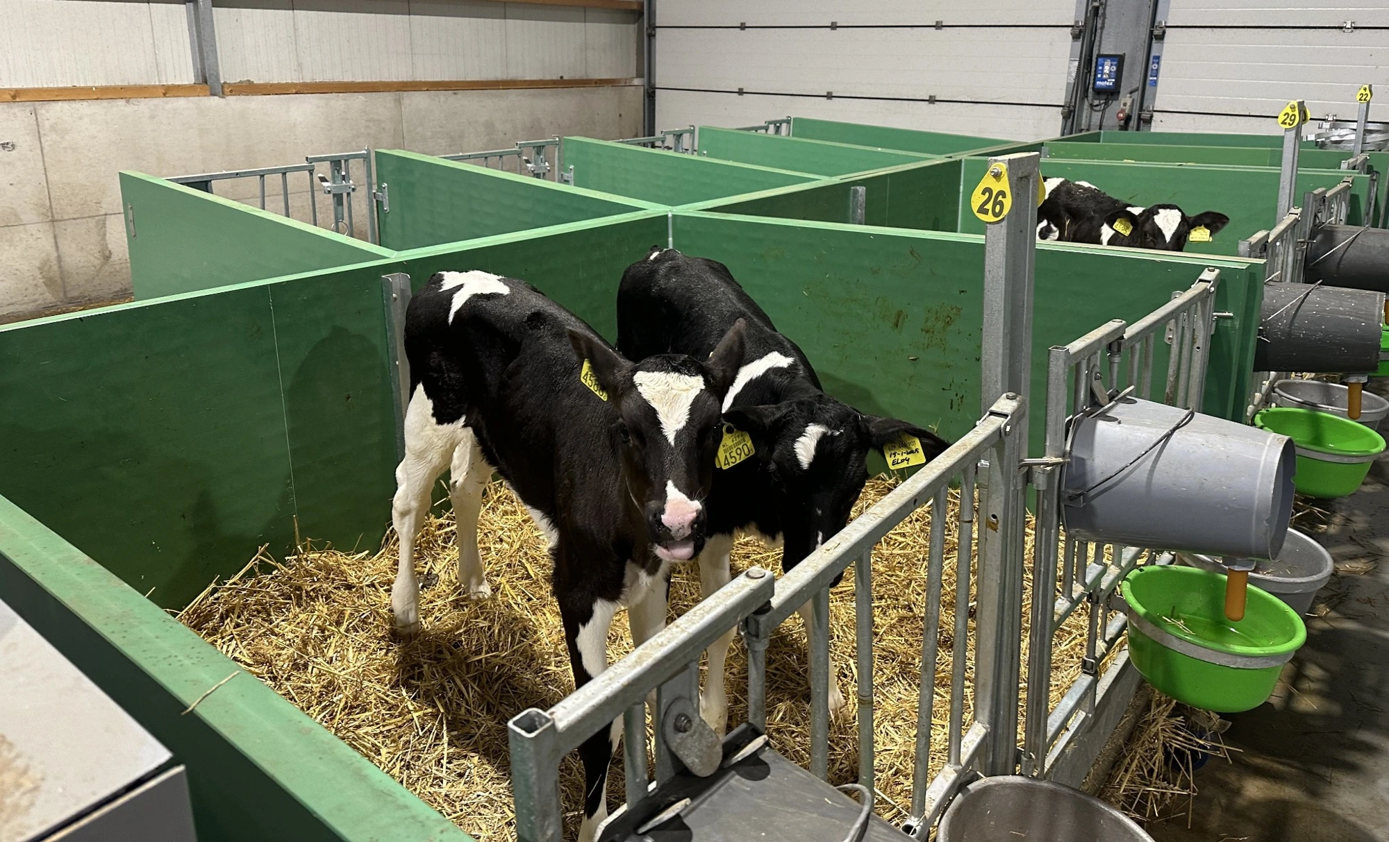 Mobi-Twin housing in use at the Van Zeelst family farm.