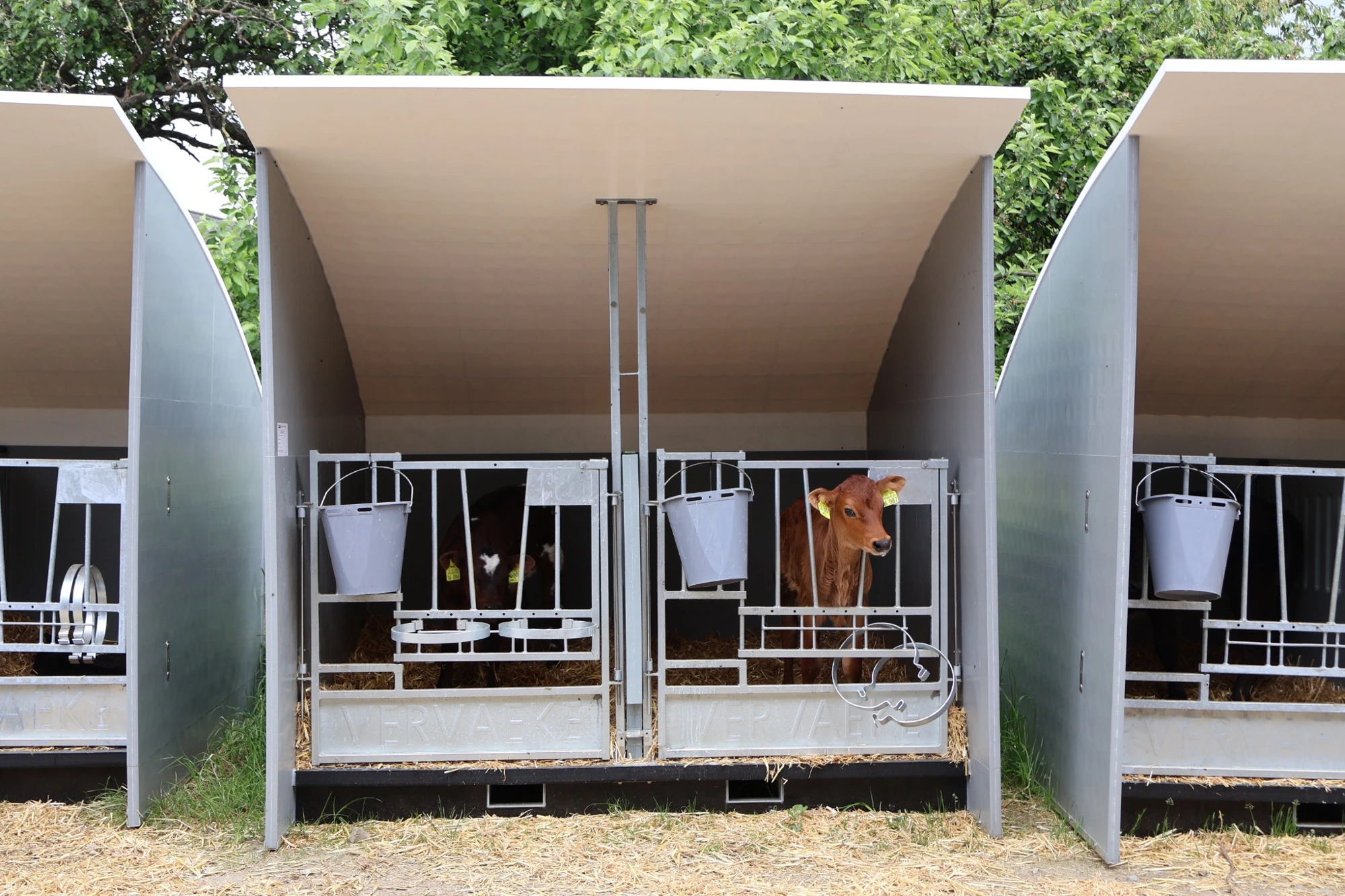 Twinbox pens in use outdoors on a farm.